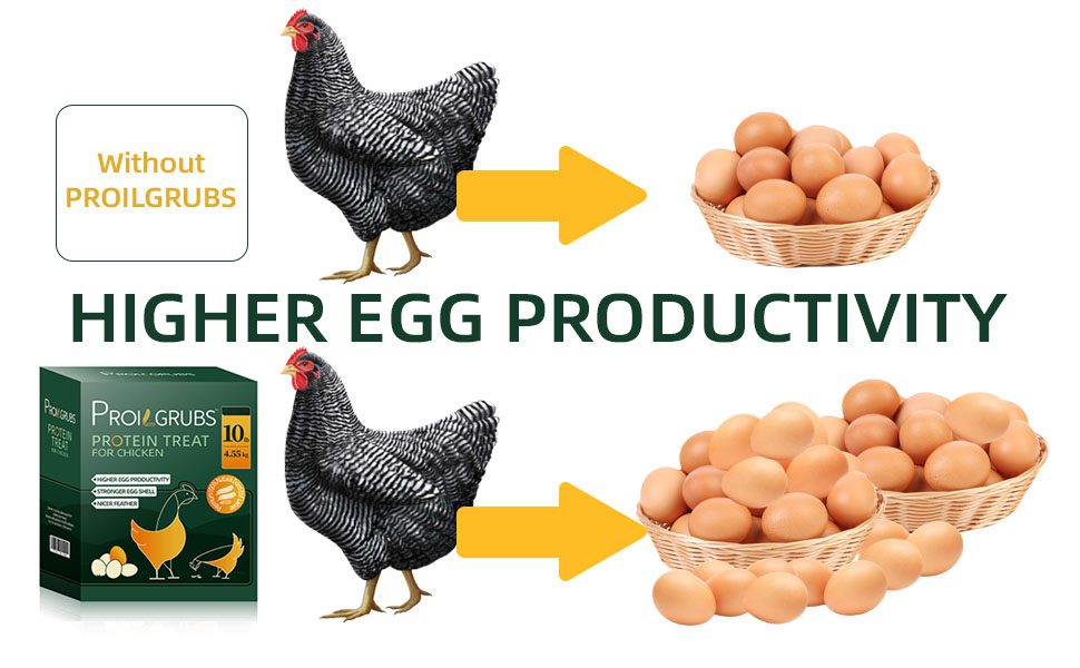 higher egg productivity